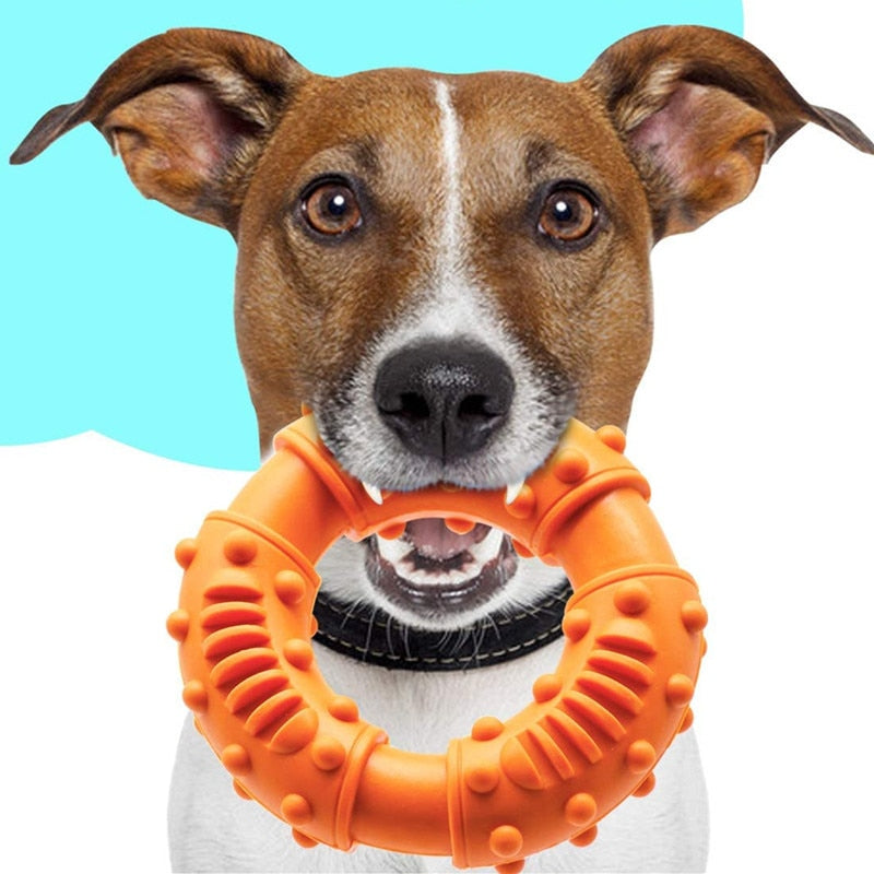 Rubber Chewing Ring