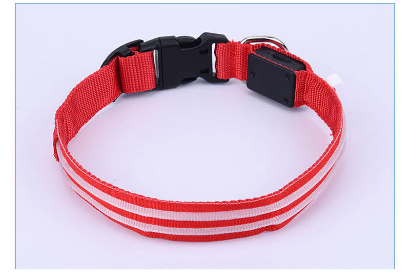 Nylon Translucent Neon LED Collars