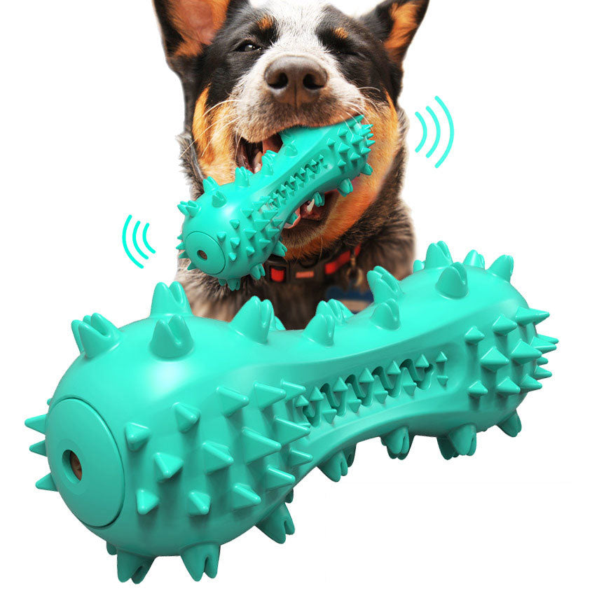 Molar Toothbrush Bite Toys
