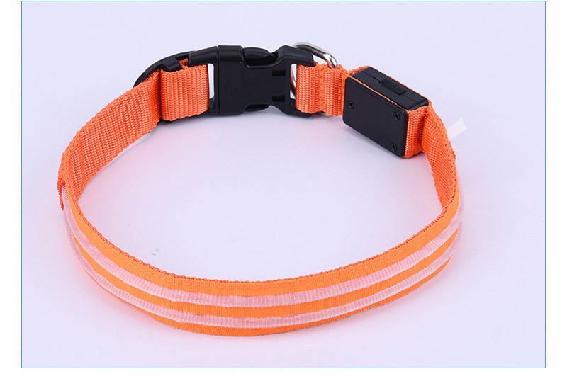 Nylon Translucent Neon LED Collars