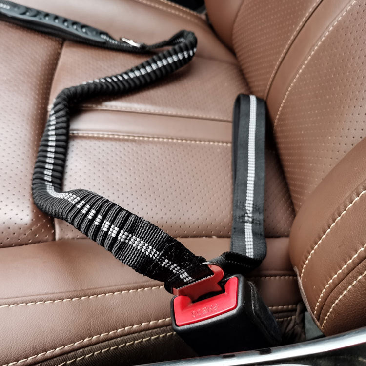 Doggy Seat Belt Leash