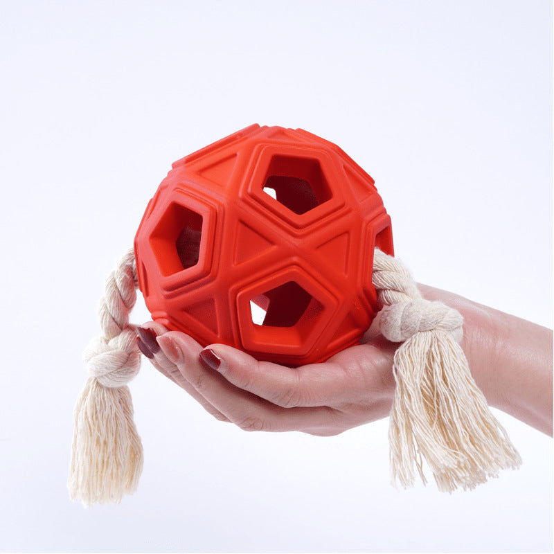Molar Rubber Ball & Rope Toy