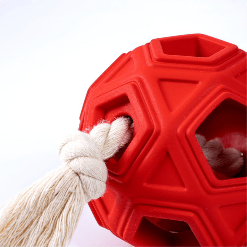 Molar Rubber Ball & Rope Toy