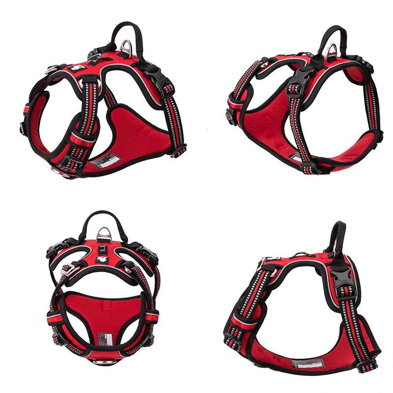 No Pull Adjustable Harness
