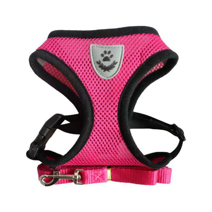 Dog Harness