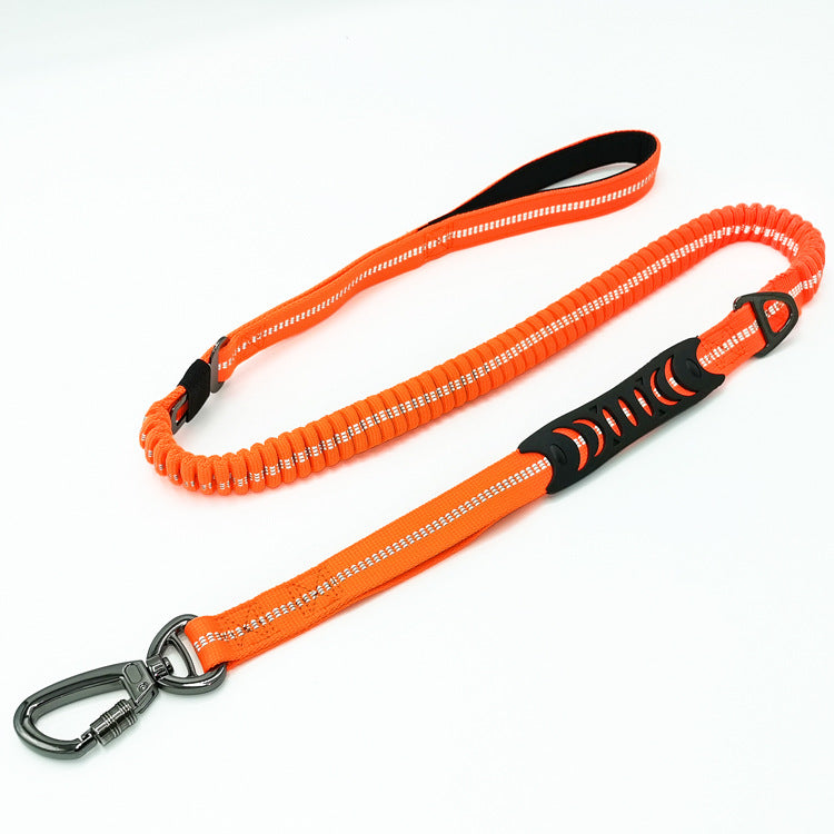 Doggy Seat Belt Leash