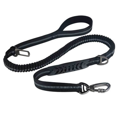 Doggy Seat Belt Leash