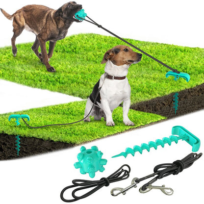 Outdoor Leash & Toy