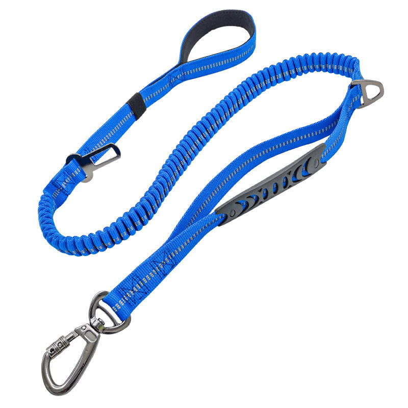 Doggy Seat Belt Leash