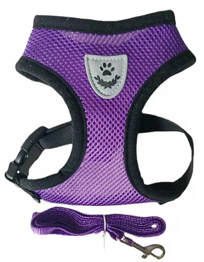 Dog Harness