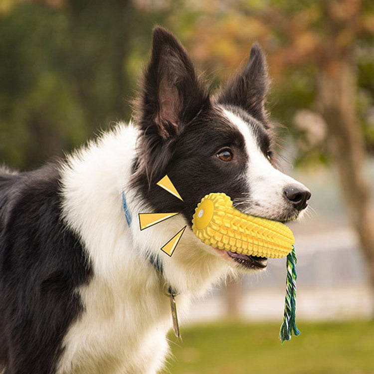 Corn Molar Toy