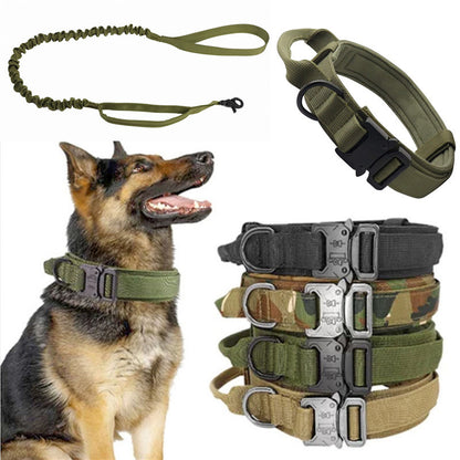 Tactical Collar / Leash