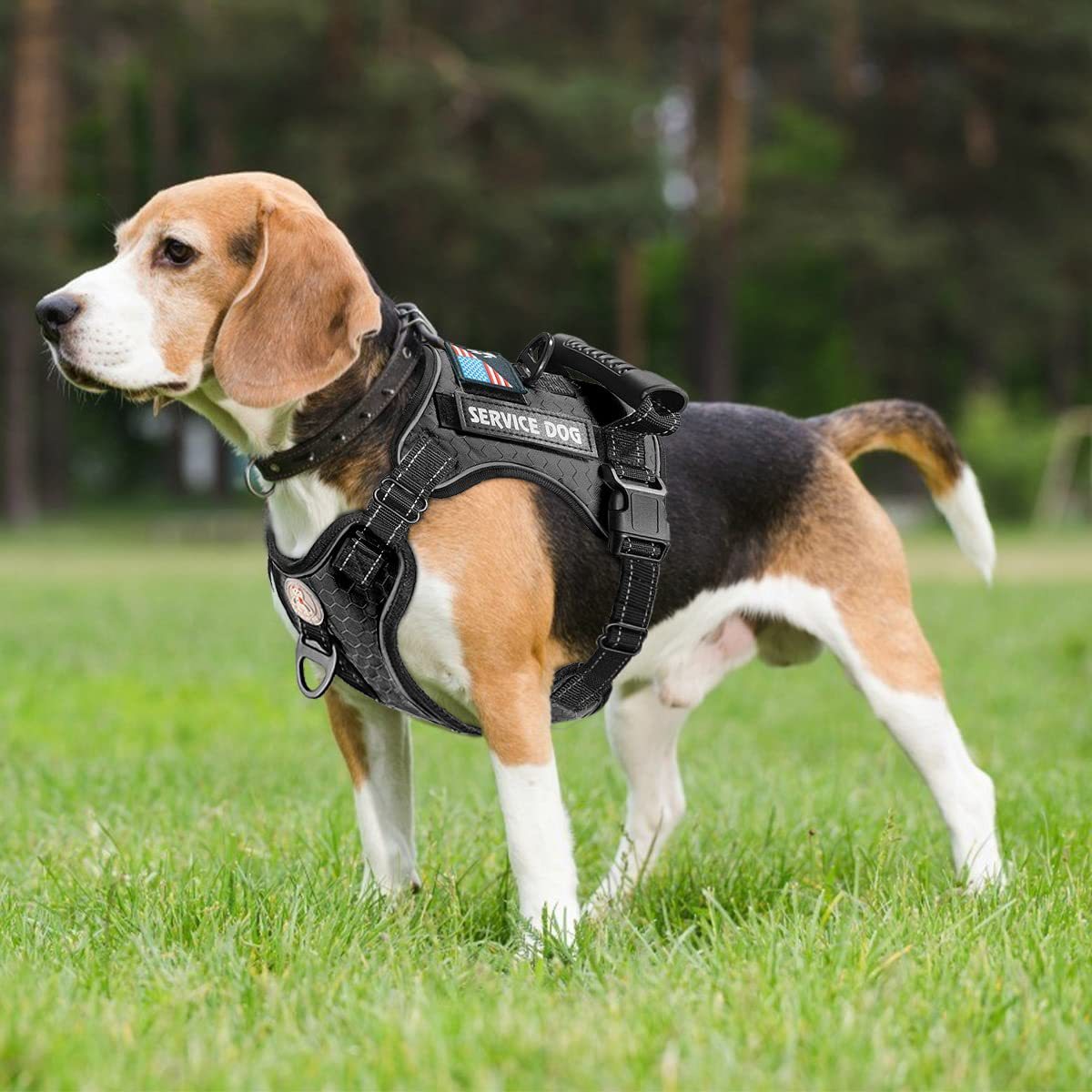 Service Dog Chest Harness