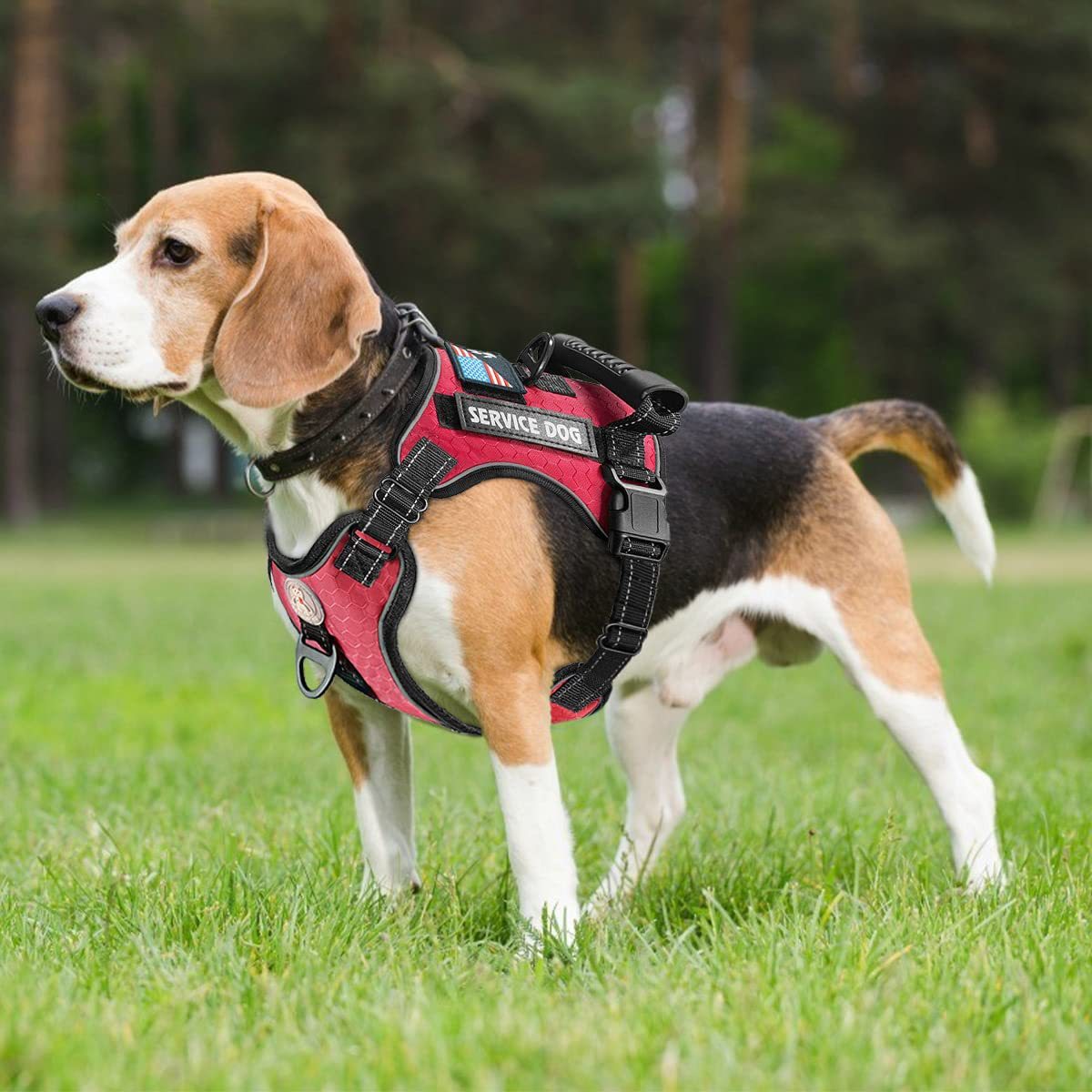 Service Dog Chest Harness