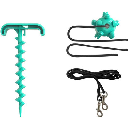 Outdoor Leash & Toy