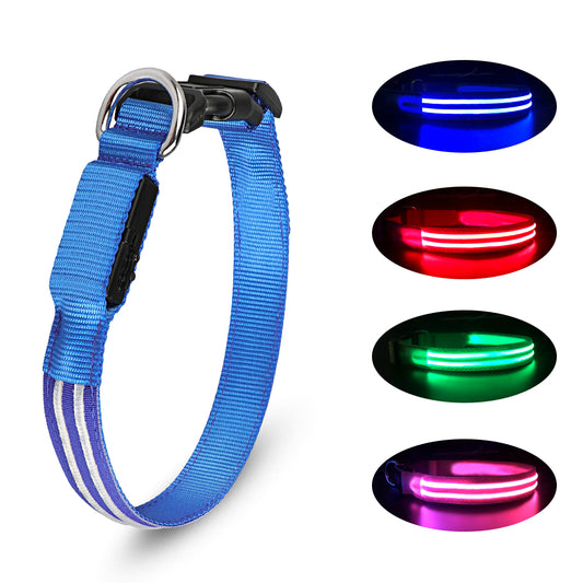 Nylon Translucent Neon LED Collars