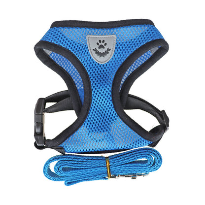 Dog Harness