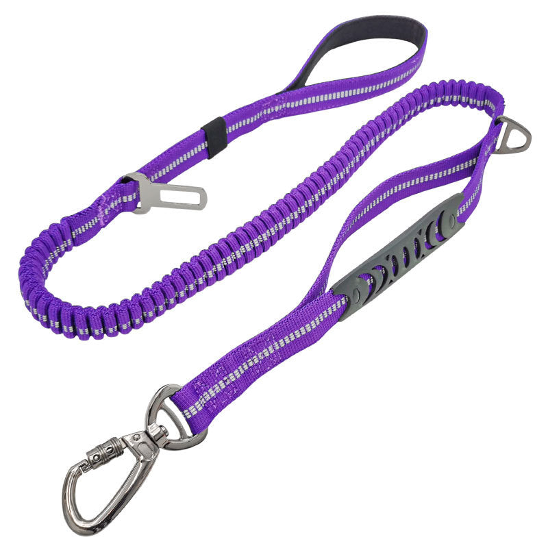 Doggy Seat Belt Leash