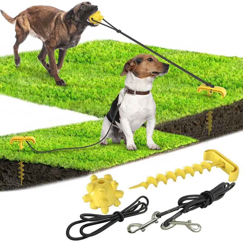 Outdoor Leash & Toy