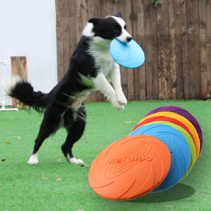 Dog Frisbee, Fun Colors!