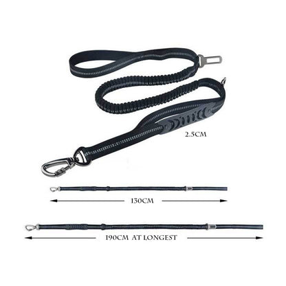 Doggy Seat Belt Leash