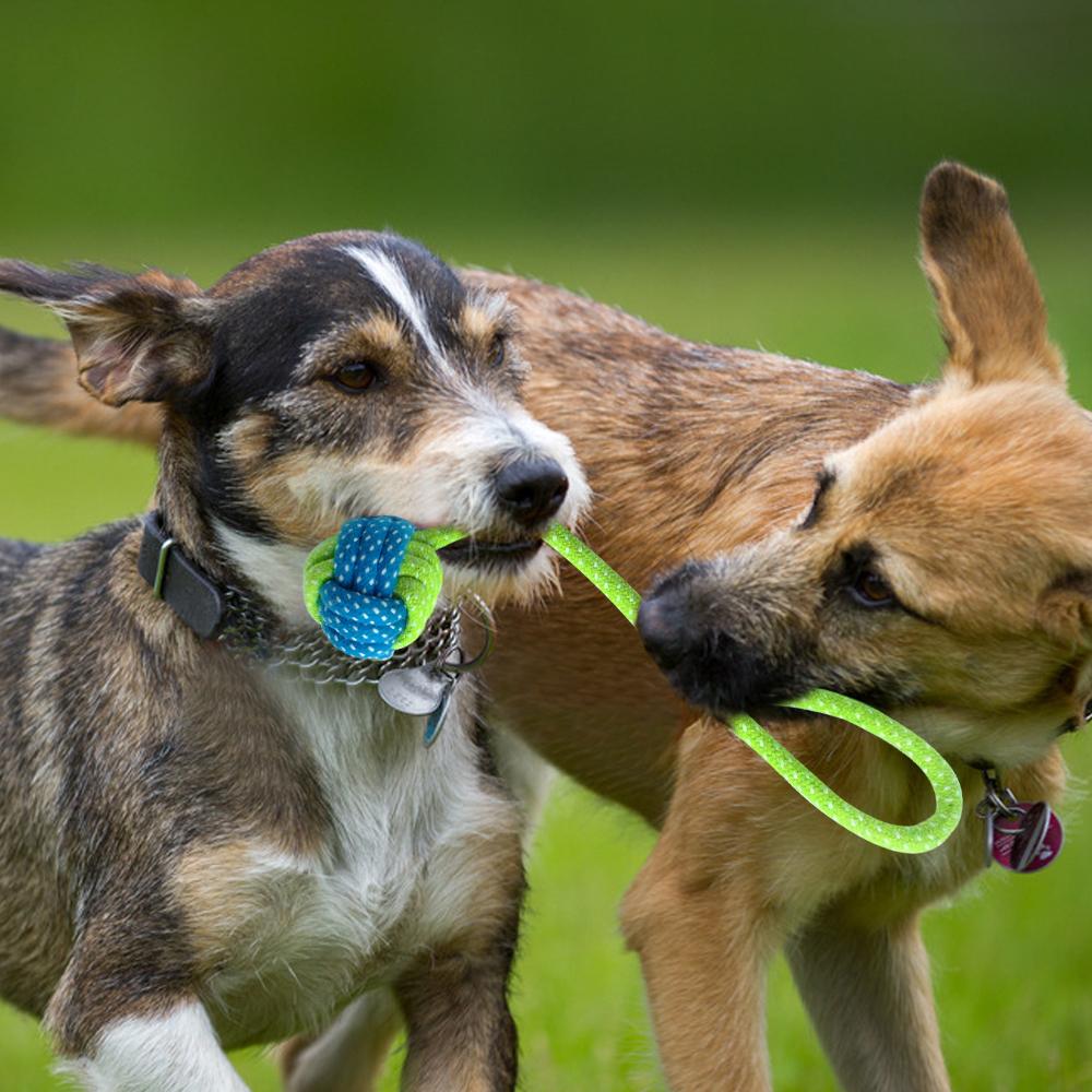 Cotton Rope Toys!