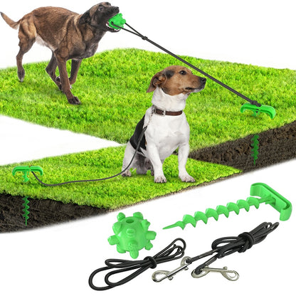 Outdoor Leash & Toy