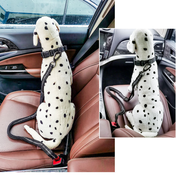 Doggy Seat Belt Leash