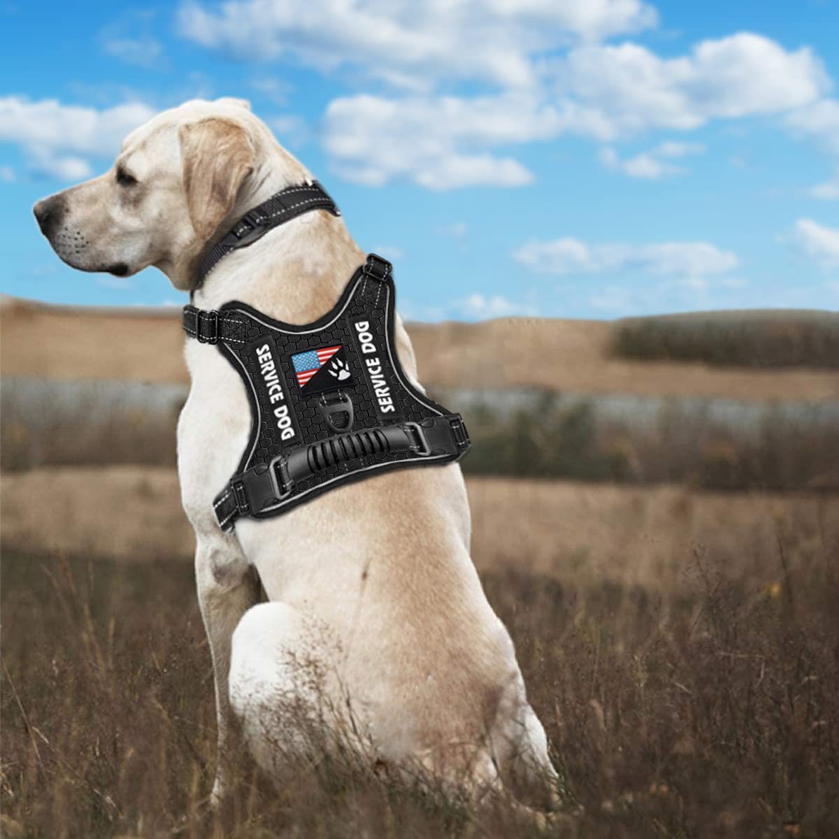 Service Dog Chest Harness