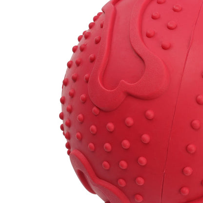 Rubber Ball Toy for Aggressive Chewers